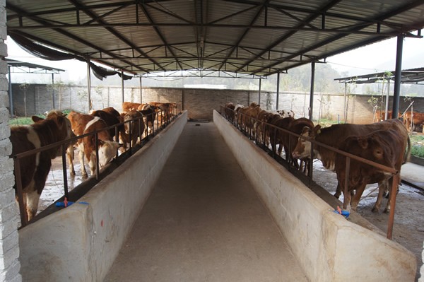 中原股权交易中心