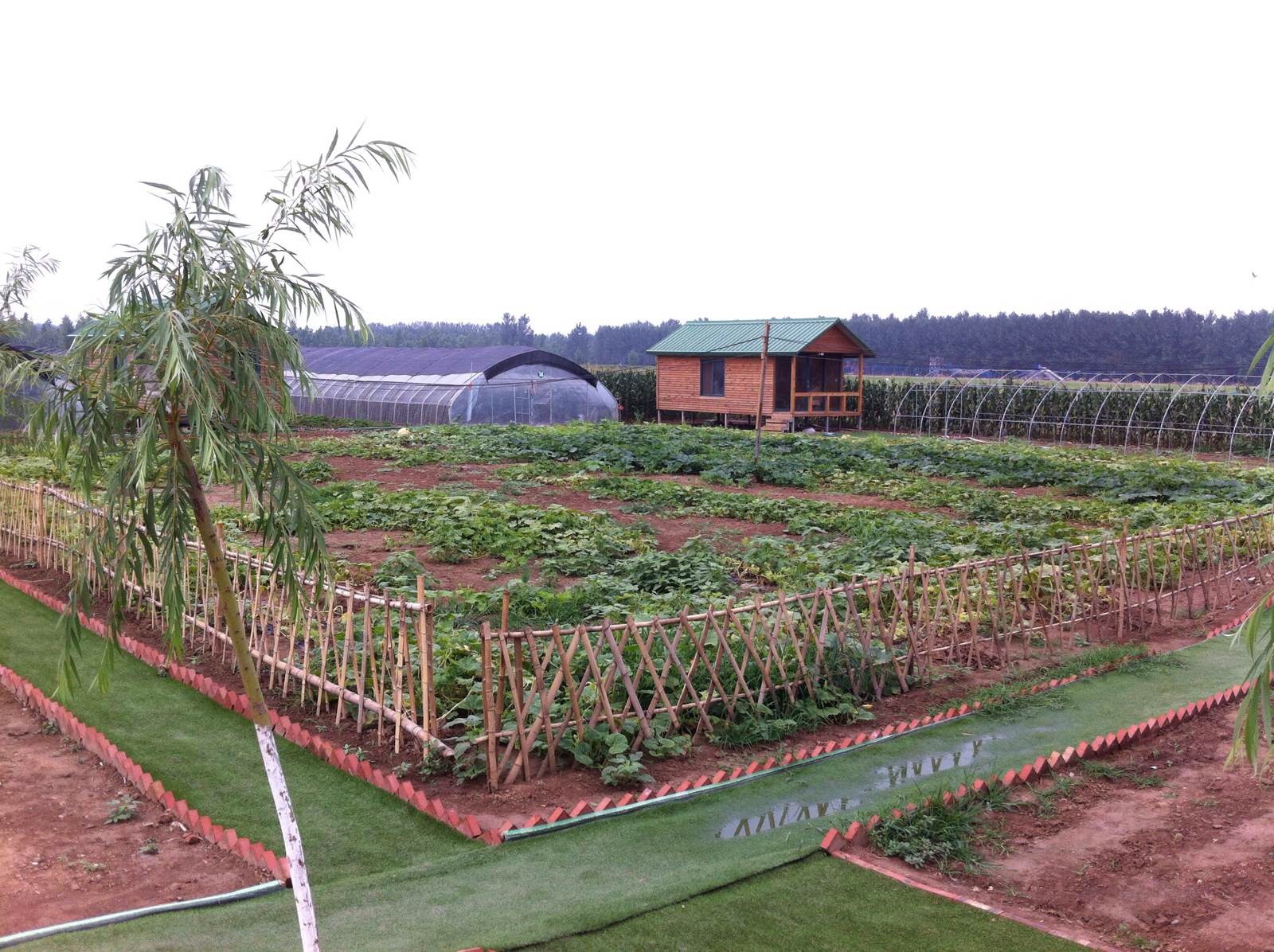 中原股权交易中心